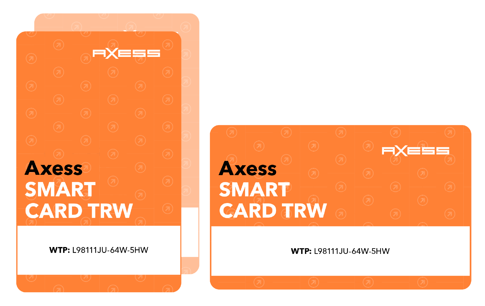 SMART CARD TRW Combo (back).png